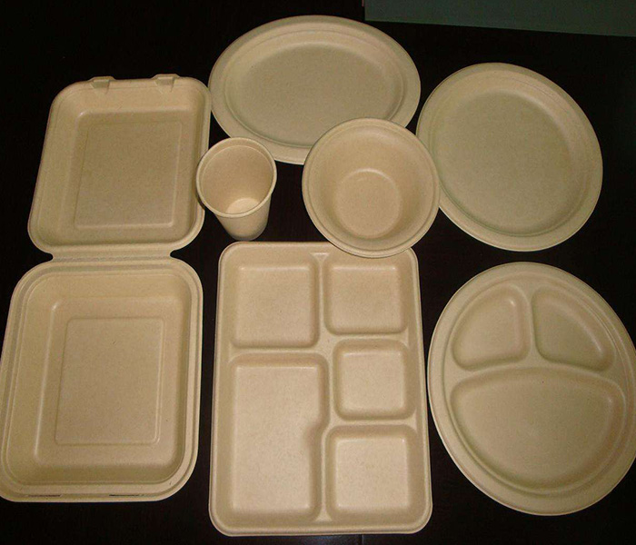 環(huán)保紙漿模塑歷來發(fā)展與應(yīng)用有哪些？